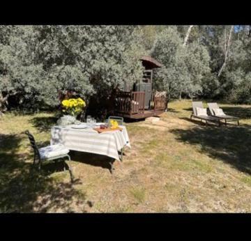 Roulotte / Tiny House Dans Les Alpilles Saint-Rémy-de-Provence Exterior foto